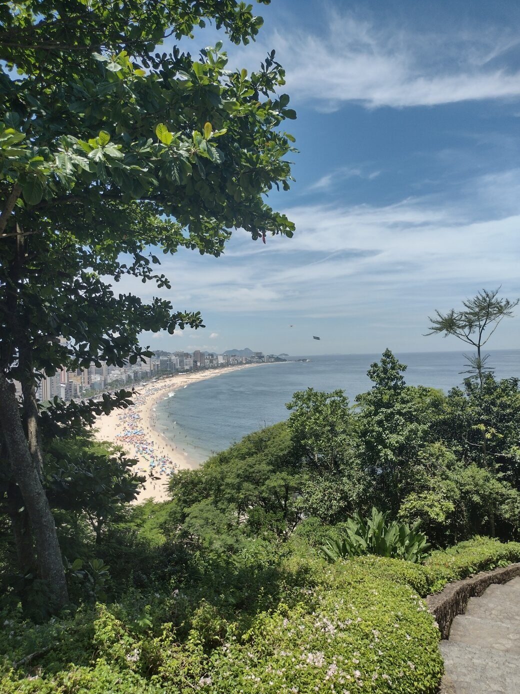 View over the Atlantic forest towards the coastline of Rio de Janeiro